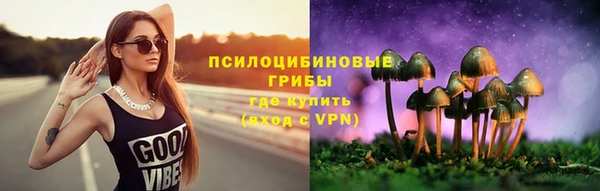 стафф Беломорск