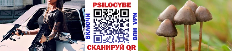 Галлюциногенные грибы мицелий Кировград